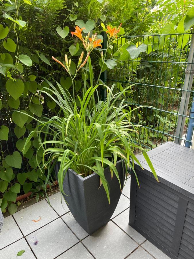 Sonnige Im Zentrum Mit Terrasse U Tiefgarage - Netflix - Prime - Apartment *